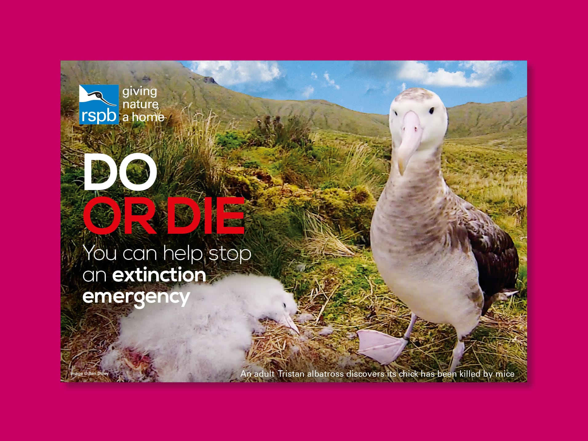 rspb-gough-appeal-envelope-outer