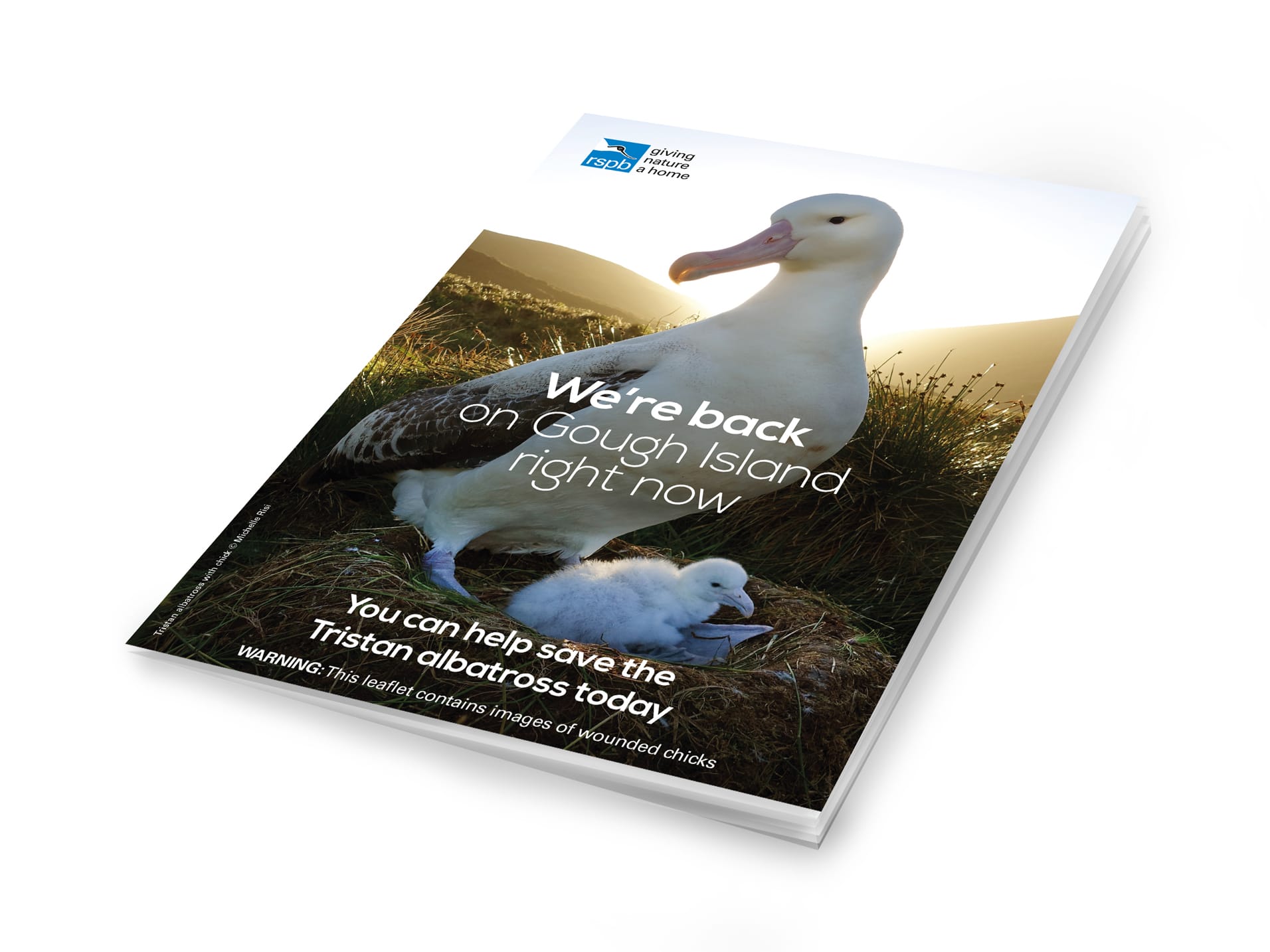 rspb-gough-exisiting-donor-leaflet-cover