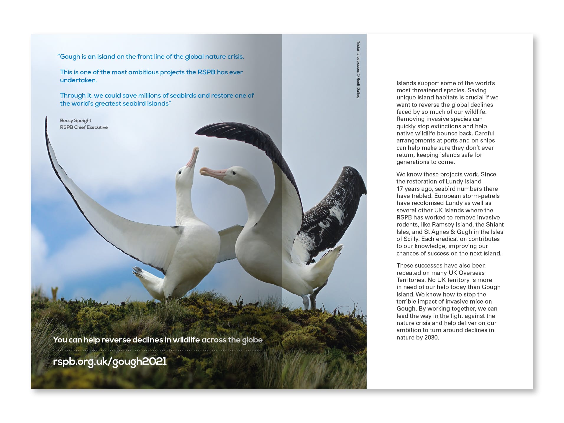 rspb-gough-exisiting-donor-leaflet-dps-five