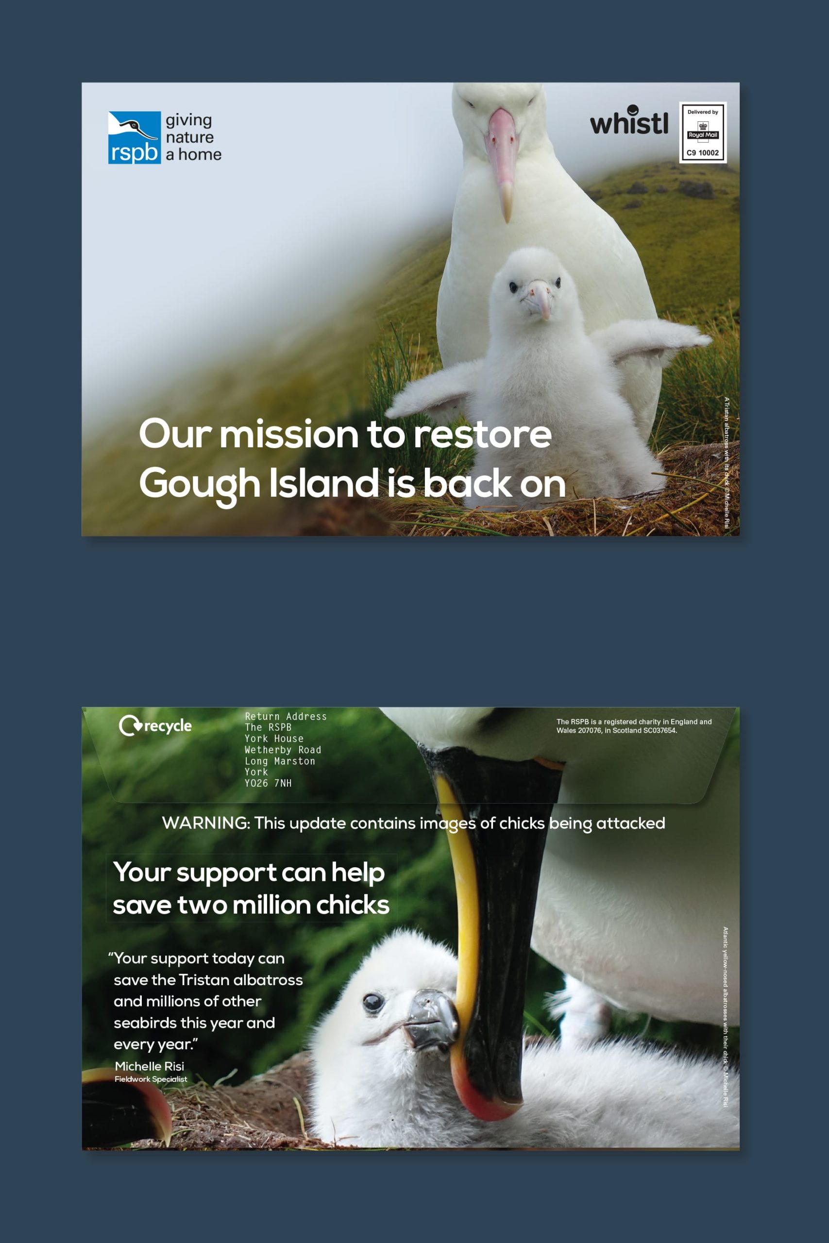 rspb-gough-existing-donor-envelope
