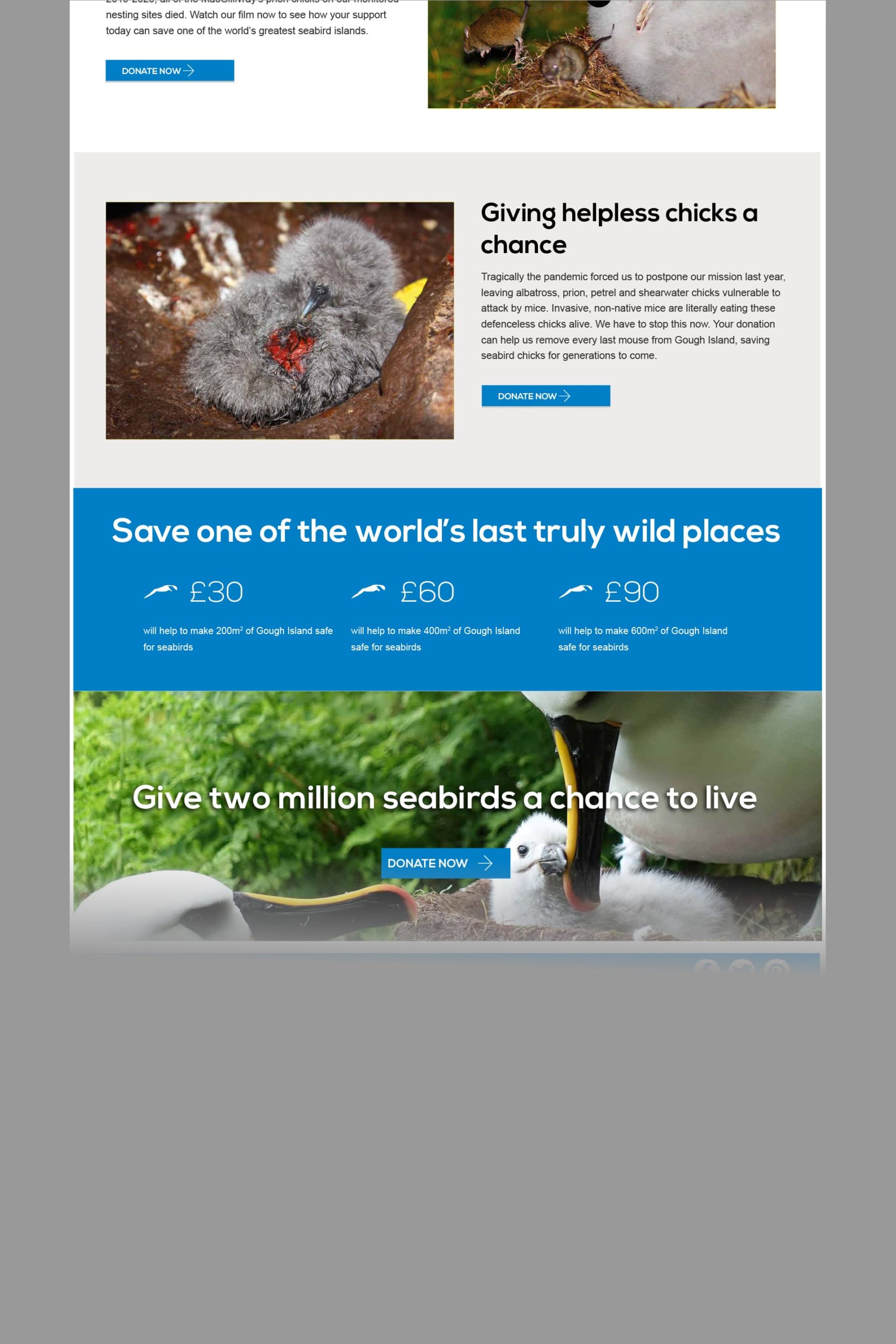 rspb-gough-website-landing-page-two